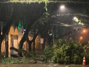 Temporal causa estragos e falta de luz na região