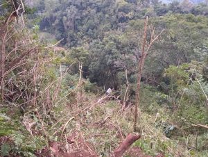 Comando Rodoviário de Cachoeira atende caso com duas mortes na ERS-400