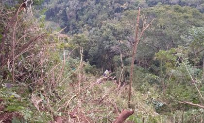 Comando Rodoviário de Cachoeira atende caso com duas mortes na ERS-400