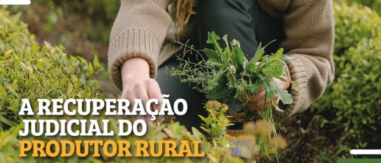 Cachoeirense é destaque em curso on-line de recuperação judicial para produtores rurais