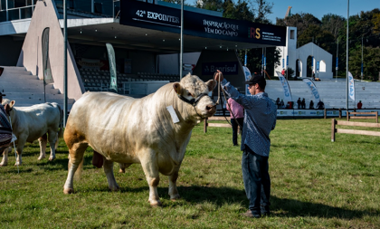 Expointer 2021 recebe 2.820 inscrições de animais de argola