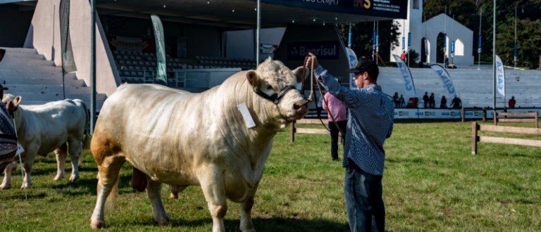 Expointer 2021 recebe 2.820 inscrições de animais de argola