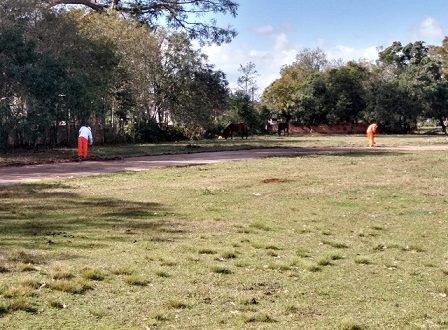 Apenados de Cachoeira do Sul realizam limpeza e manutenção de espaços públicos