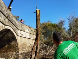 Força-tarefa começa a remover galhos na Ponte de Pedra