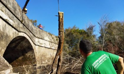 Força-tarefa começa a remover galhos na Ponte de Pedra