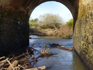 Ponte de Pedra: força-tarefa deve concluir limpeza até final de semana