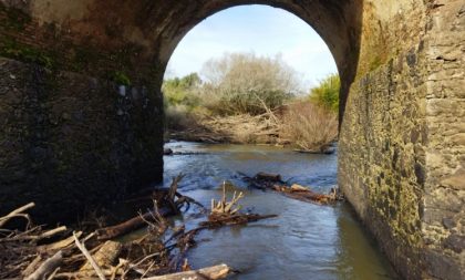 Ponte de Pedra: força-tarefa deve concluir limpeza até final de semana