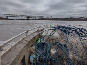 Rio Jacuí: BM apreende cerca de 600 metros de redes de pesca