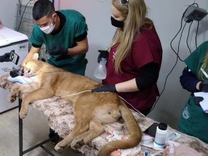 Zoológico fechado neste final de semana para atividade de acadêmicos da UPF