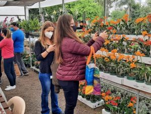 Expointer encerra neste domingo