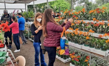 Expointer encerra neste domingo