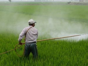 Novas instruções normativas para agrotóxicos incluem Cachoeira do Sul