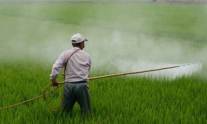 Novas instruções normativas para agrotóxicos incluem Cachoeira do Sul