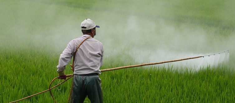 Novas instruções normativas para agrotóxicos incluem Cachoeira do Sul