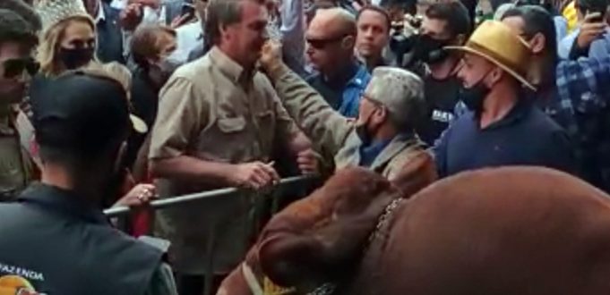 Bolsonaro prestigia touro do cachoeirense Cacaio Lima na Expointer