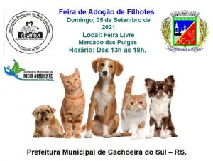 Domingo tem Feira de Adoção de Filhotes