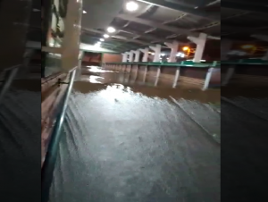 Vídeo: Feira Livre é inundada com forte chuva