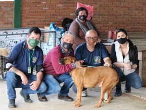 15 cães foram adotados na Feira de Adoção