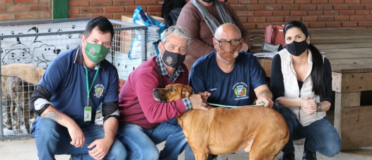 15 cães foram adotados na Feira de Adoção