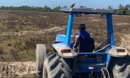 Cachoeira já semeou 56% da área de arroz da safra 2021/2022