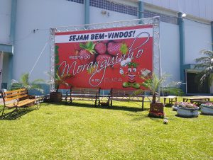 Festa do Moranguinho e da Cuca é sucesso em Agudo