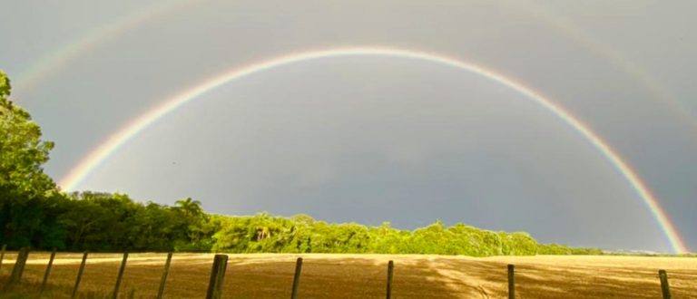 Espetáculo no céu de Cachoeira do Sul é destaque na MetSul