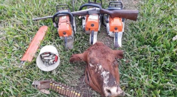 Suspeitos de abigeato são presos com arma e carne em acampamento no Irapuazinho