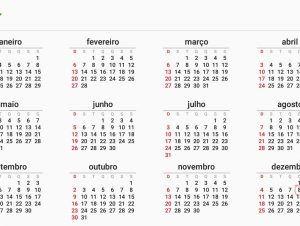 Diário Eletrônico: Cachoeira decreta calendário de feriados para 2022