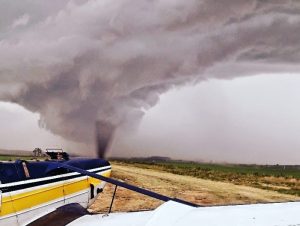 Temporal de granizo destrói lavouras e galpões na Porteira Sete