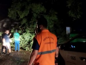 Vendaval, chuva, raios e granizo: Defesa Civil atualiza prejuízos