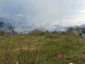 Incêndio atinge área de mata na zona norte de Cachoeira