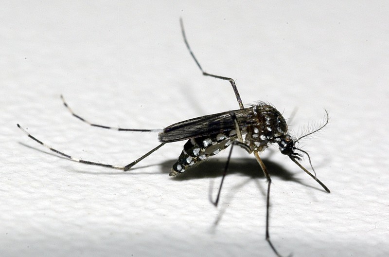 Cachoeira do Sul registra muerte por dengue