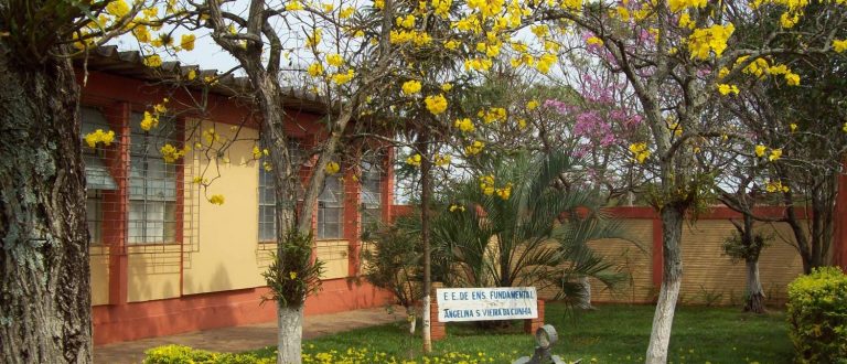 Programa Vacina na Escola chega ao Bairro Fátima nesta quarta-feira