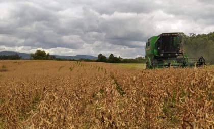 Colheita da soja é retomada e alcança 55% da área cultivada