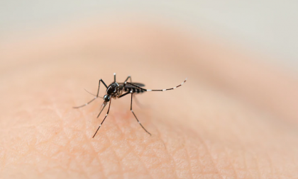 Bairro Augusta tem caso de Chikungunya