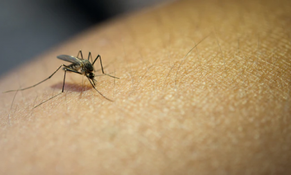 Aumento no número de casos de Dengue acende alerta em Novo Cabrais