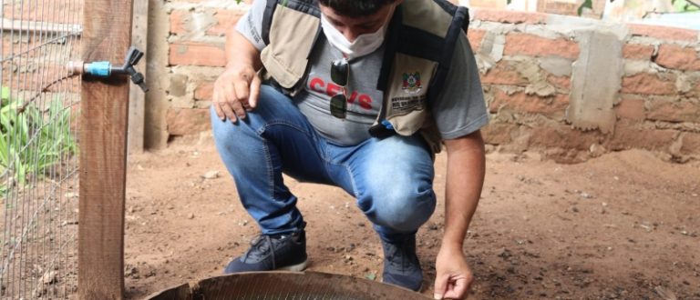 Morador do Fátima é 1º caso de Chikungunya no ano