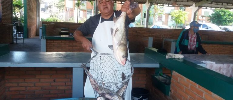 Começa a Feira do Feixe Vivo de Cachoeira