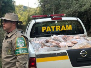 2º BABM apreende meia tonelada de peixe, tatu e capivara entre Cachoeira e Rio Pardo