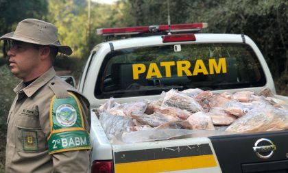 2º BABM apreende meia tonelada de peixe, tatu e capivara entre Cachoeira e Rio Pardo