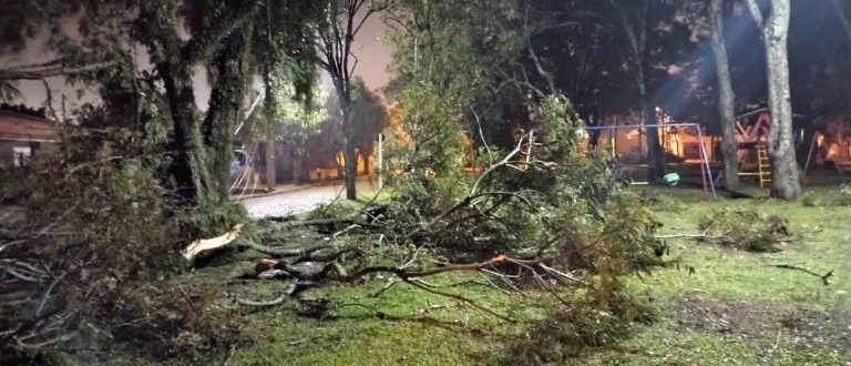 Vídeo: Praça José Saldanha amanhece com fios e galhos caídos