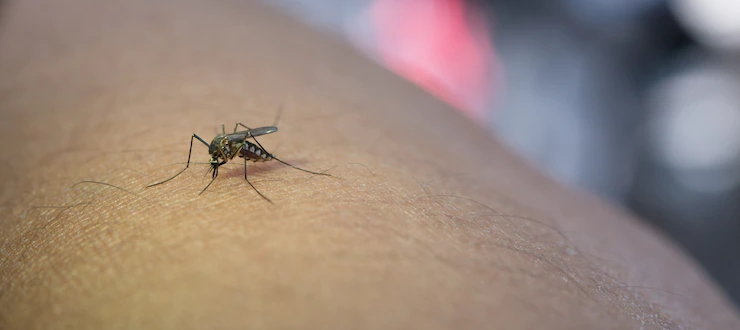 ATUALIZAÇÃO: confira a divisão de casos de Dengue e Chikungunya por bairro e localidade