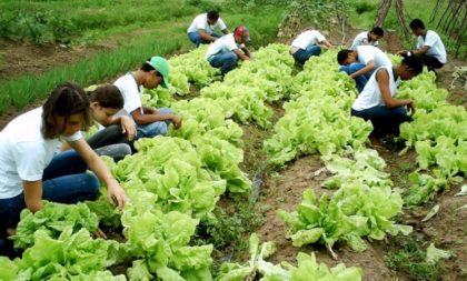 Prazo para envio de documentos para o programa Bolsa Juventude Rural é prorrogado