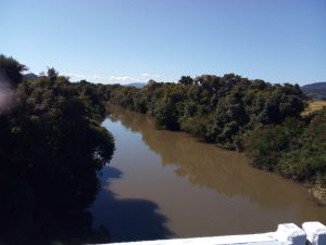 Defesa Civil de Cachoeira do Sul: seminário discute impacto de palometas nos rios