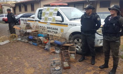 2º BABM faz nova varredura e apreende mais pássaros silvestres em Cachoeira