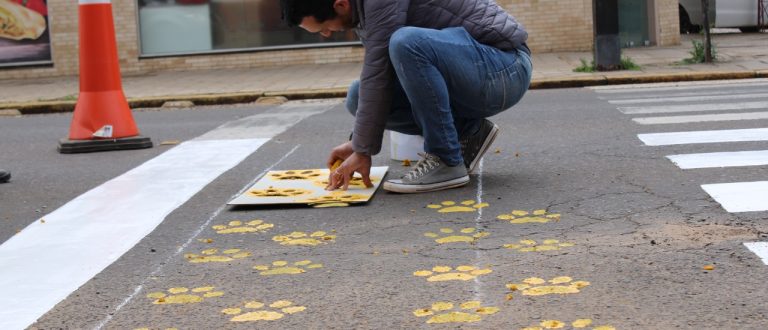 Faixa de pedestre com… patinhas de cachorro?