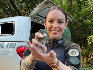 2º BABM apreende aves em cativeiro no Bairro Drews