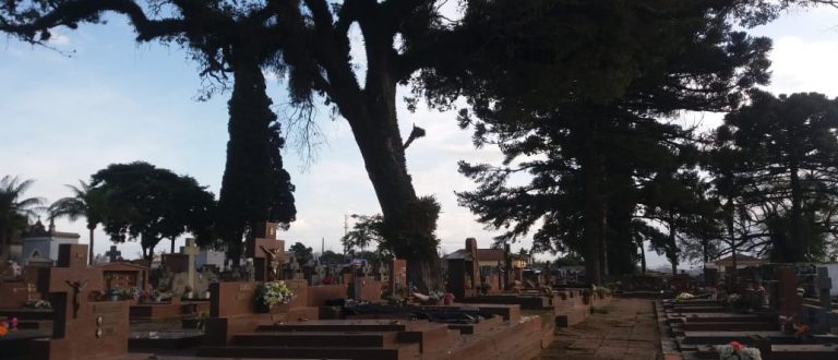 Galhos de árvores caem sobre túmulos no Cemitério Municipal