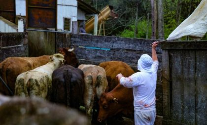 Operação Frigos: dois frigoríficos de Encruzilhada e Caçapava são interditados