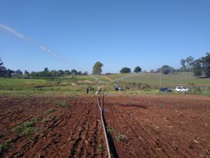 Projeto entre UFSM e Prefeitura de Cachoeira do Sul realiza tarde de treinamento